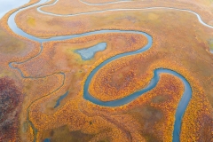 Alaska Fall Colors Tour Jet Boat