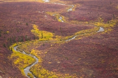 Alaska Colored River