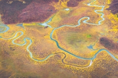 Alaska Abstract Aerial Fall Colors