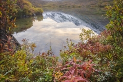 Alaska Alpine Lake Alaska Alpine Lake