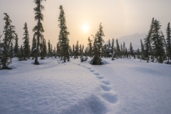 AlaskaPhotographySundog