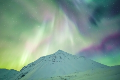 aurora brooks range