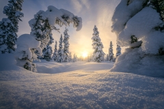 2026-02-07-17-19-50-CS3-Edit 2026-02-07-17-19-50-CS3-Edit