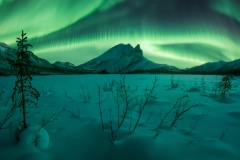Aurora-Alaska-Tour-Fairbanks