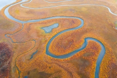 DJI_0560-Enhanced-SR DJI_0560-Enhanced-SR