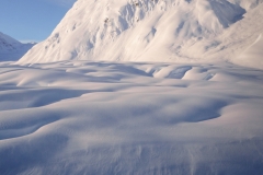 DSC01431-Edit DSC01431-Edit