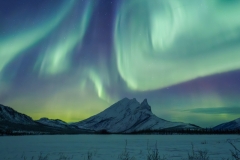 aurora Coldfoot alaska