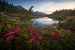 DiskGolfLake DiskGolfLake