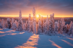 Enchanted-Forest-Fairbanks-Sunrise