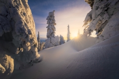 Enchanted-Forest-Sunset-Alaska-Tour