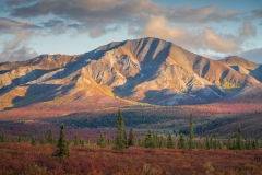 FAN04907-HDR FAN04907-HDR