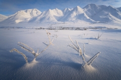 FAN2554-Edit FAN2554-Edit