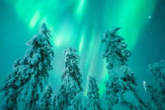Fairbanks-Northern-lights-tour