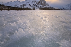 FrostFlowersFINAL FrostFlowersFINAL