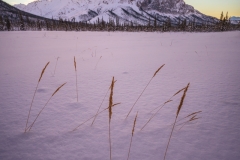 Gates-of-the-Arctic-Photo-Tour