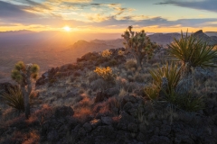 CastleMountainFinalFinalFINAL-2