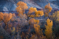 Badlands Fall Colors