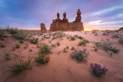 Goblin-Valley-Wildflowers-Workshop