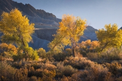 Utah-Badlands-Fall-Colors-Workshop