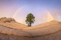 White-Pocket-Workshop-Rainbow
