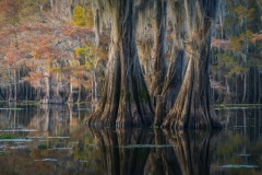 DSC08549-Edit-copy-2