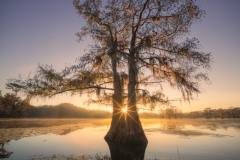 DSC08574-Enhanced-NR-Edit