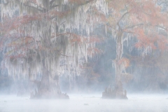 DSC08917-Enhanced-NR-Edit