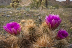 2024-04-10-19-17-02-BR1S10-copy