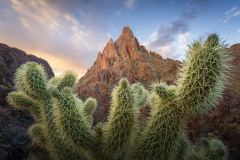 2024-04-12-17-17-22-CS8-copy