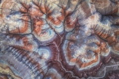 DJI_0828