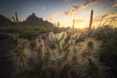 DSC05309-Enhanced-NR-Edit